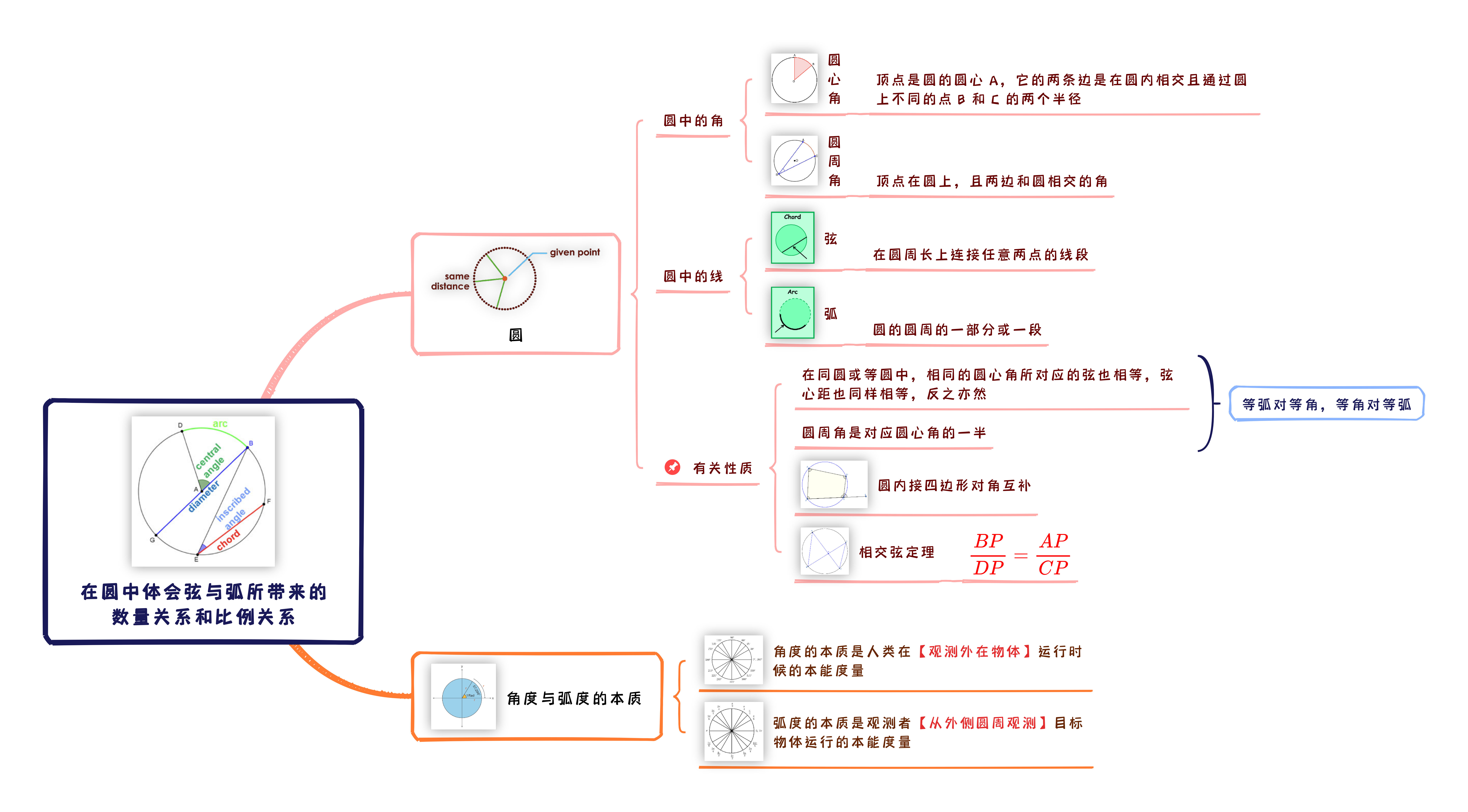 圆的弦与弧：数量关系与比例关系思维导图